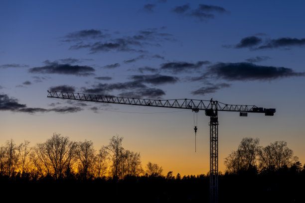 鹤在芬兰春天的黄昏，没有人图片下载