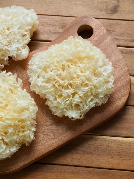 干木耳菇，浸渍木耳菇图片下载