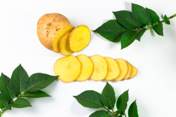 马铃薯叶片图片下载