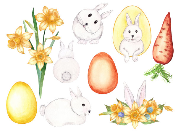 一套水彩插图描绘复活节兔子，胡萝卜和花。元素是手工绘制和孤立在白色背景上。设计为卡片、请柬的设计图片下载