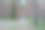 俄罗斯的松林。挺拔的树干在阳光明媚的日子。图片下载