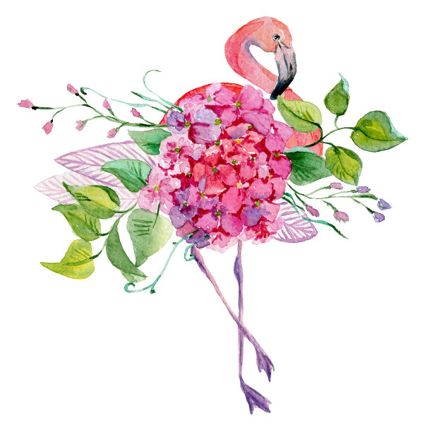 水彩画火烈鸟和花，为婚礼卡片，浪漫的印刷品，织物，纺织品和剪贴簿。图片下载