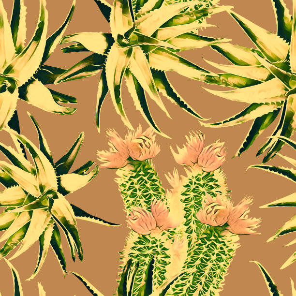 仙人掌和芦荟，无缝图案。图片下载