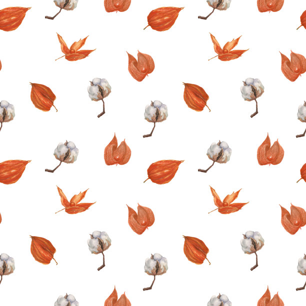 水彩插图在水彩风格的白色背景。孤立的白色背景。酸浆属棉模式。无缝纹理。春天纺织纹理。图片下载