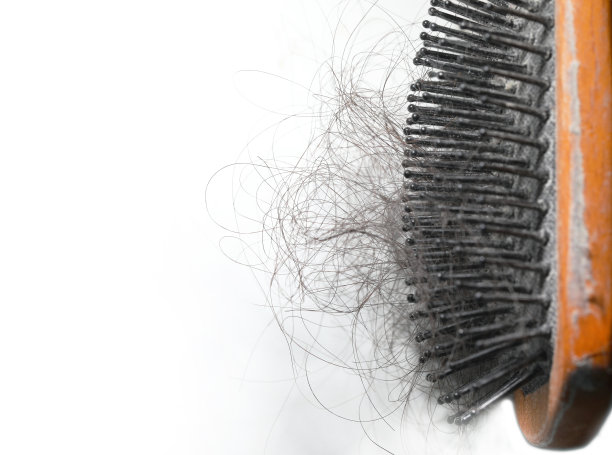 脱发图像梳图片下载