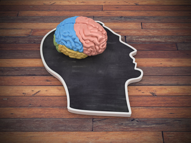 人类头部形状与人脑在木地板- 3D渲染图片下载