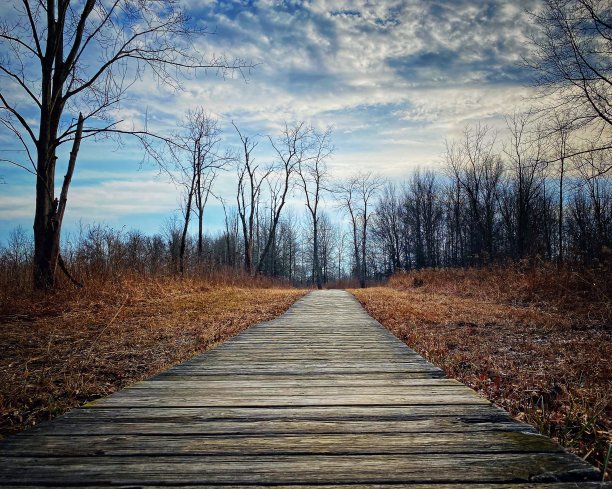 消失点图片下载