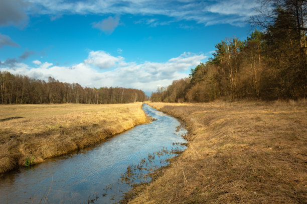 阳光明媚的一天，一条小河流过一片空地，进入森林图片下载