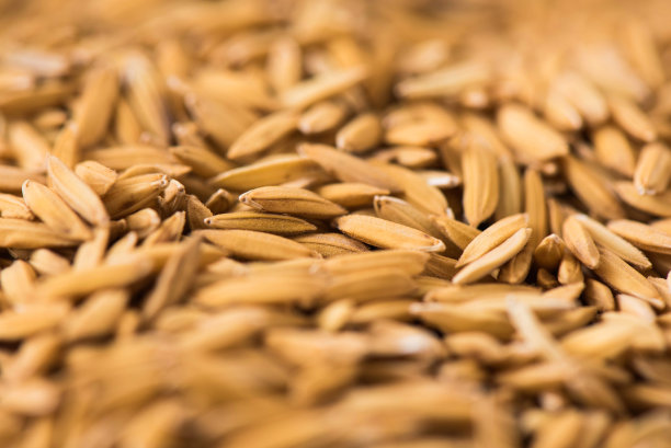 特写图片素材专题