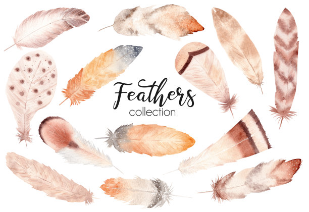水彩手绘羽毛套装。波西米亚风格的插图孤立在白色。图片下载