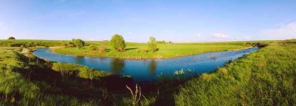 春光乍暖还寒，绿意盎然图片下载