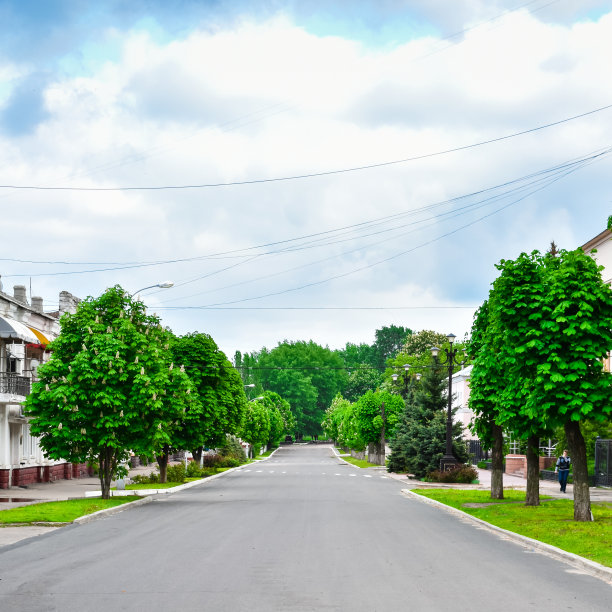 绿色的城市公园。城市中的道路。春天的树木开花了。栗子在城里开花。春天的城市。图片下载