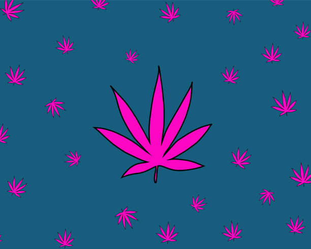 大麻的叶子在不同的变种霓虹灯颜色的特写图片下载