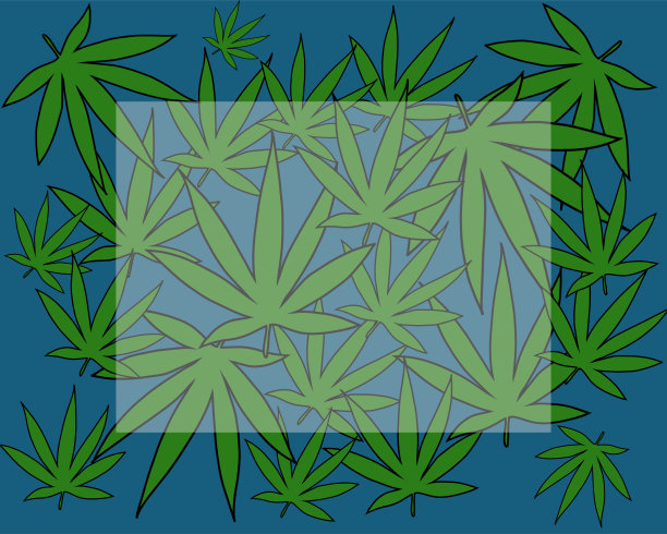 大麻叶的背景在中心与文本框架图片下载