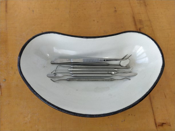 牙科器械在托盘里图片下载