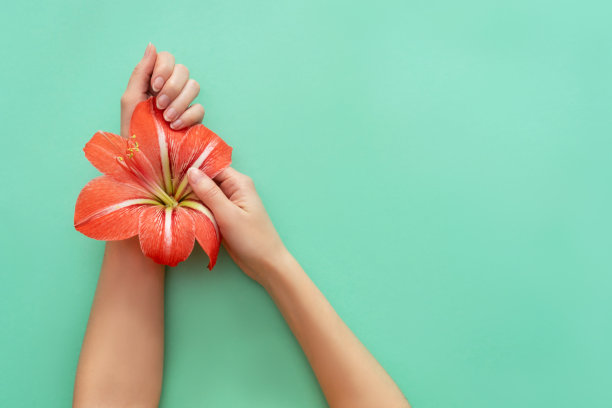 手拿鲜花的女人图片下载