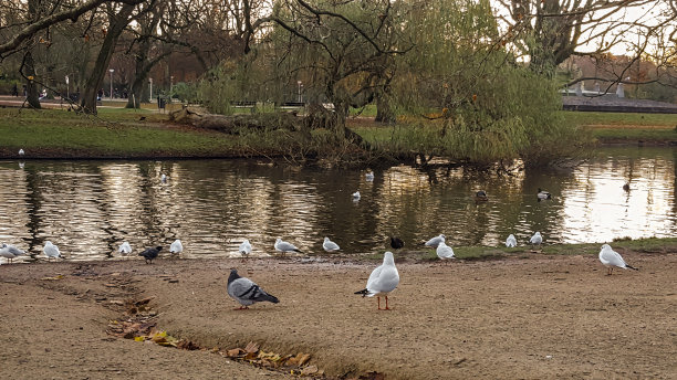 阿姆斯特丹图片下载