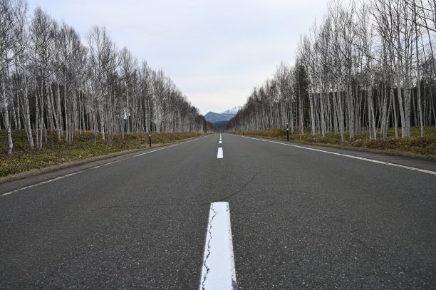 晚春日本北部图片下载