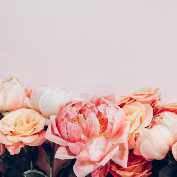 一束粉红色的牡丹和玫瑰图片下载