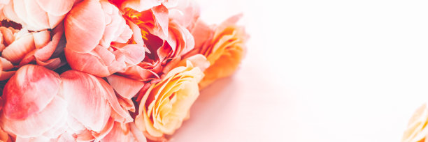 一束粉红色的牡丹和玫瑰图片下载