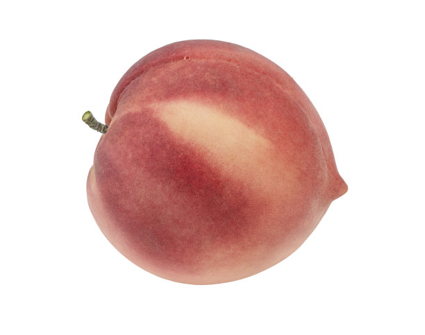 桃果实孤立在白色背景上，新鲜的白色桃子在白色背景上(带有剪切路径)图片下载