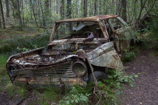 在瑞典的Ryd, Kyrko Mosse森林里的废旧汽车废料场图片下载