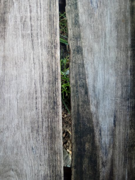 自然背景图片下载