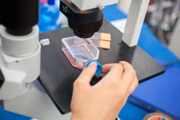 分析实验室的显微镜图片下载