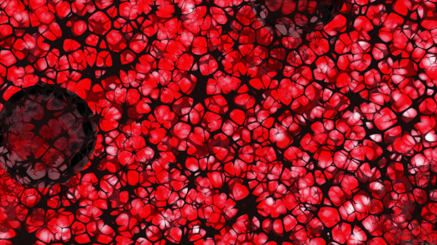 摘要红色背景的血液器官三维渲染医学人体有机体图片下载