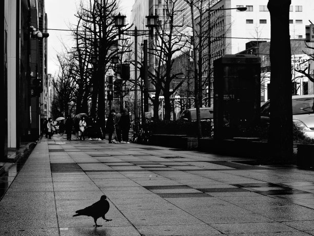 一步……图片下载