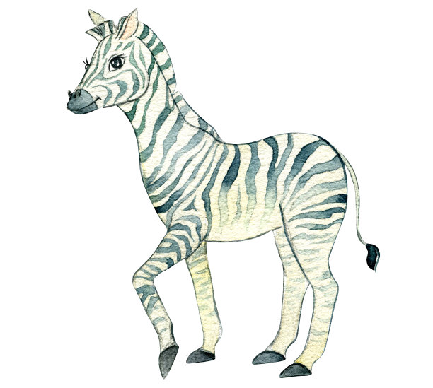 水彩插图图片下载