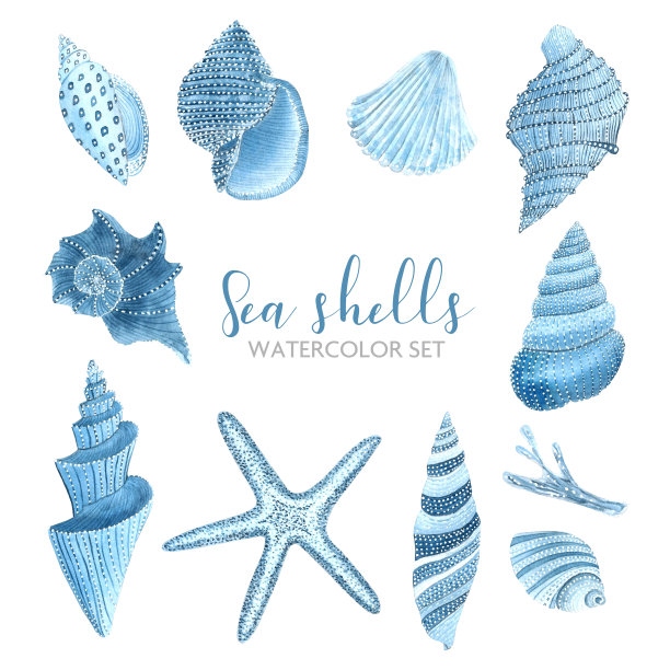水彩壳图片下载