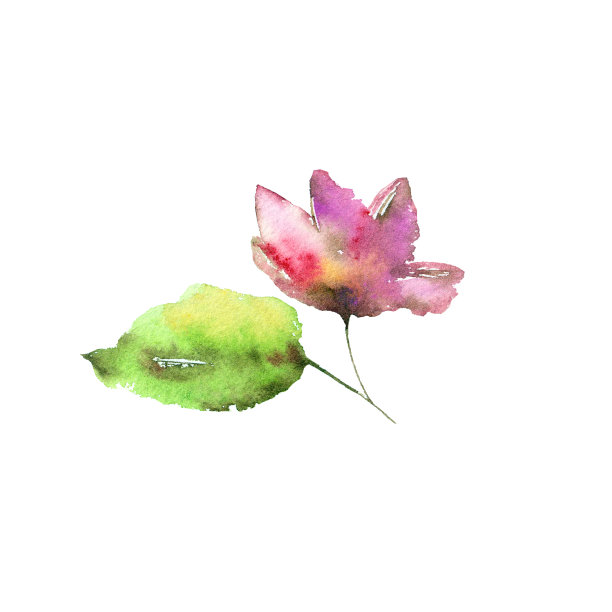 粉红色的花。画樱花盛开。画水彩花。鲜花贺卡装饰。婚礼邀请花设计。图片下载