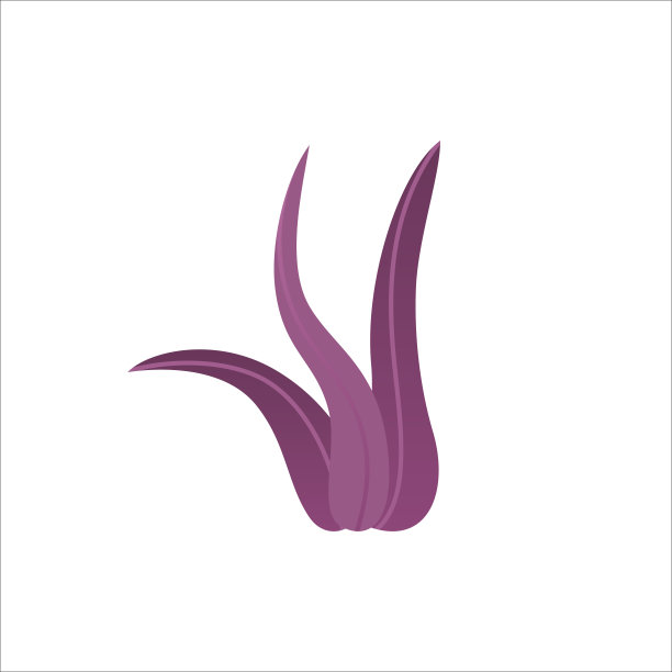 有叶的海生植物。水下热带海藻孤立在白色背景。图片下载