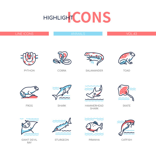 动物系列系列设计风格图标集图片下载