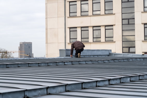 一个锌屋顶图片下载