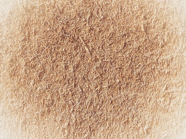 红色土墙背景及纹理图片下载