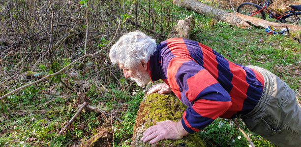 老人们在森林里做俯卧撑图片下载