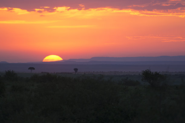 令人窒息的日落在马赛马拉国家公园在肯尼亚，非洲图片下载