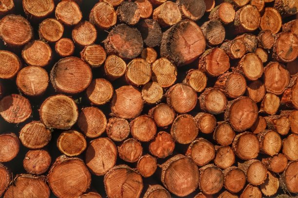 堆日志图片下载