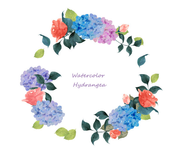 绣球花和玫瑰图片下载