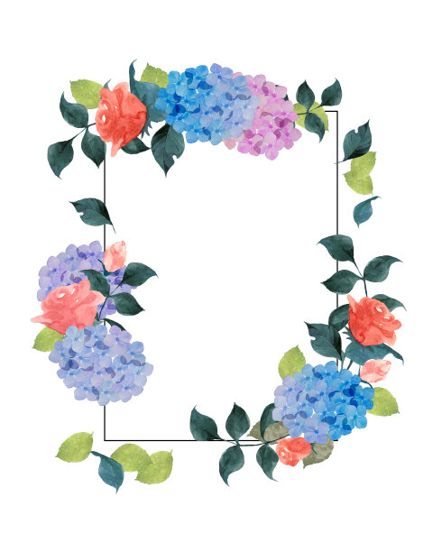 绣球花和玫瑰图片下载