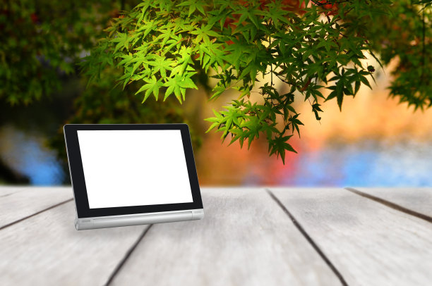 电脑平板与白色空白屏幕上的木板枫叶树的背景图片下载