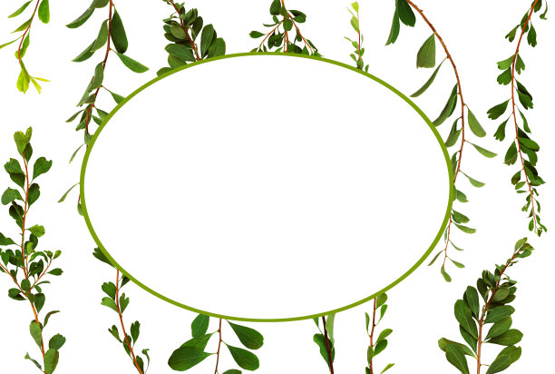 枝叶鲜绿，带有白色椭圆形卡片图片下载