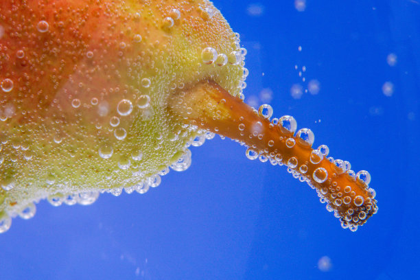 水下熟透的梨。选择集中在水中的新鲜水果图片下载