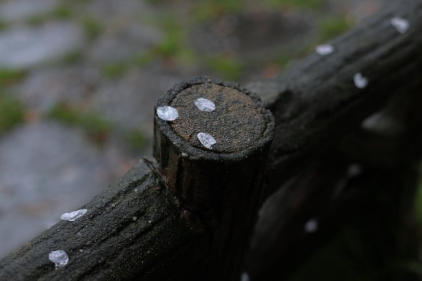 木头上的石头特写镜头图片下载