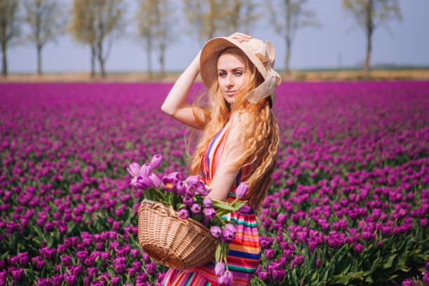 神奇的荷兰景观：女孩手持郁金香花束站在紫色郁金香田中图片下载