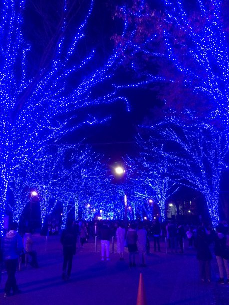 东京的冬季照明非常棒图片下载