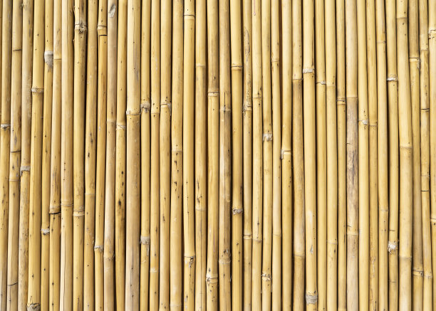 干竹背景图片下载