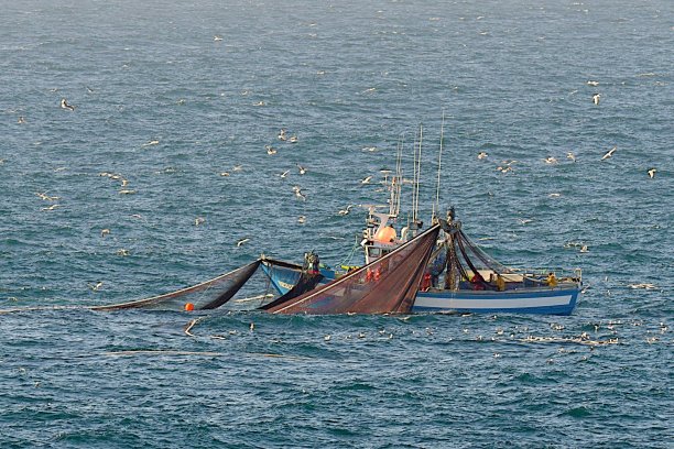 地中海的一种围网渔船图片下载